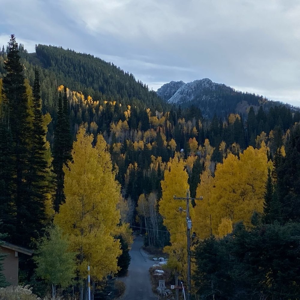 Meet your Posher, Margaret